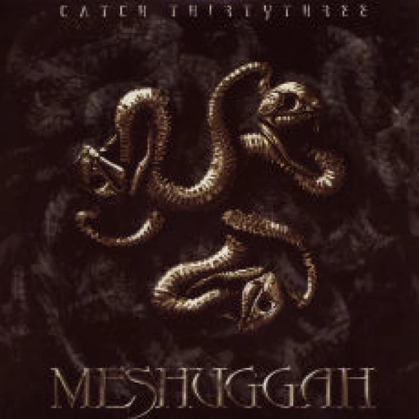 Messuggah - Catch Thirty Three