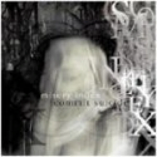 Misery Index / Commit Suicide  - Splict CD